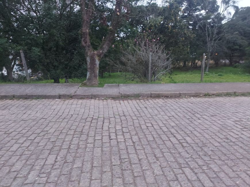 CAXIAS DO SUL - Terreno Padrão - Marechal Floriano