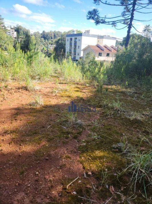Terreno à venda, 360 m² por R$ 300.000,00 - Vinhedos - Caxias do Sul/RS