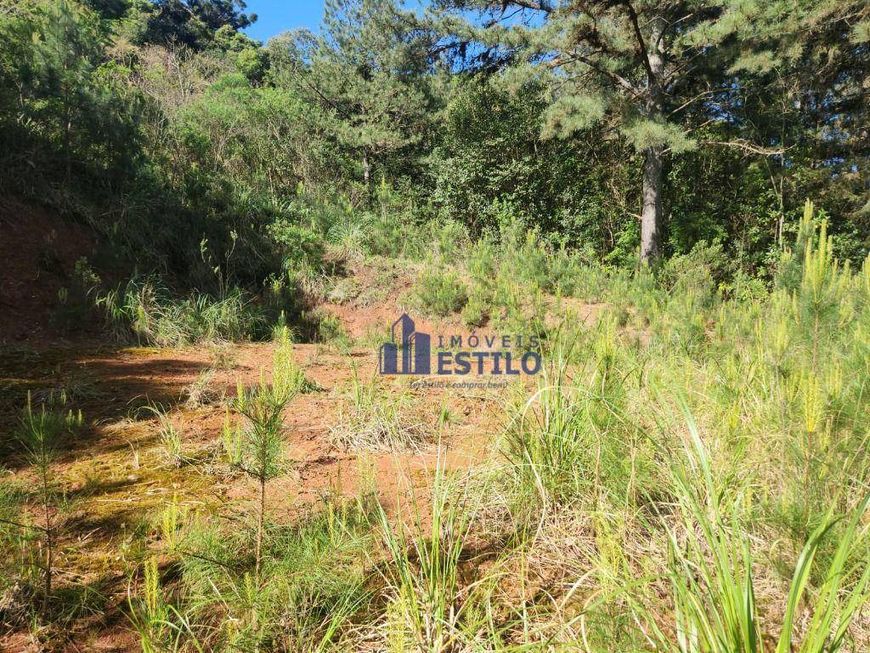 Terreno à venda, 360 m² por R$ 300.000,00 - Vinhedos - Caxias do Sul/RS