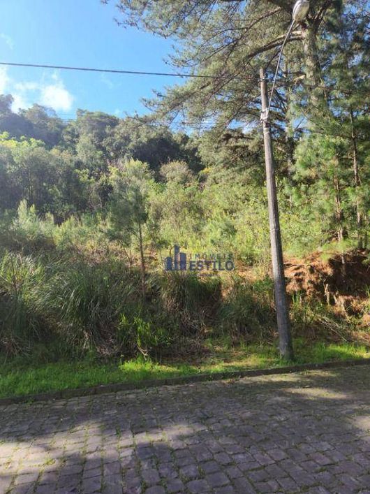Terreno à venda, 360 m² por R$ 300.000,00 - Vinhedos - Caxias do Sul/RS