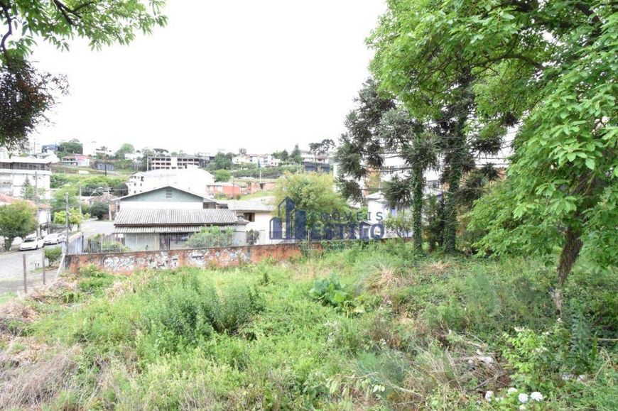 Terreno à venda, 445 m² por R$ 550.000,00 - Medianeira - Caxias do Sul/RS