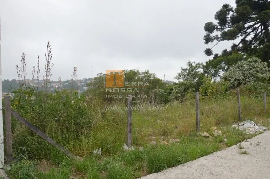 Terreno 375 m² no Vila Verde em Caxias do Sul-RS