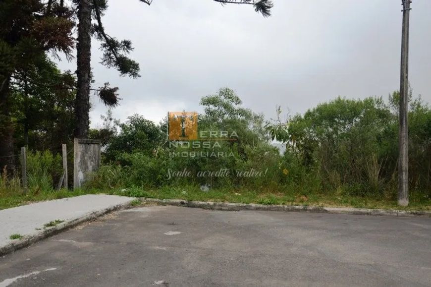 Terreno 375 m² no Vila Verde em Caxias do Sul-RS