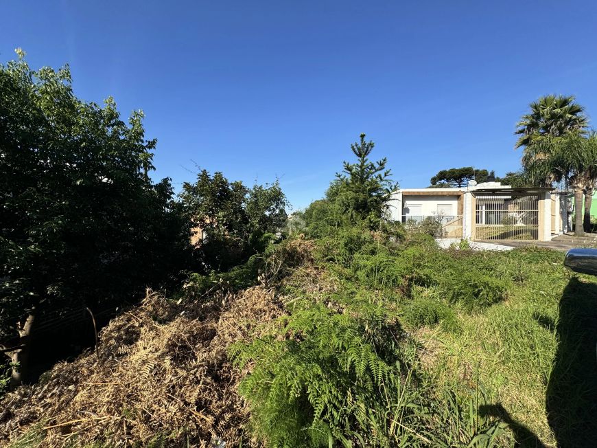Terreno no bairro Charqueadas
