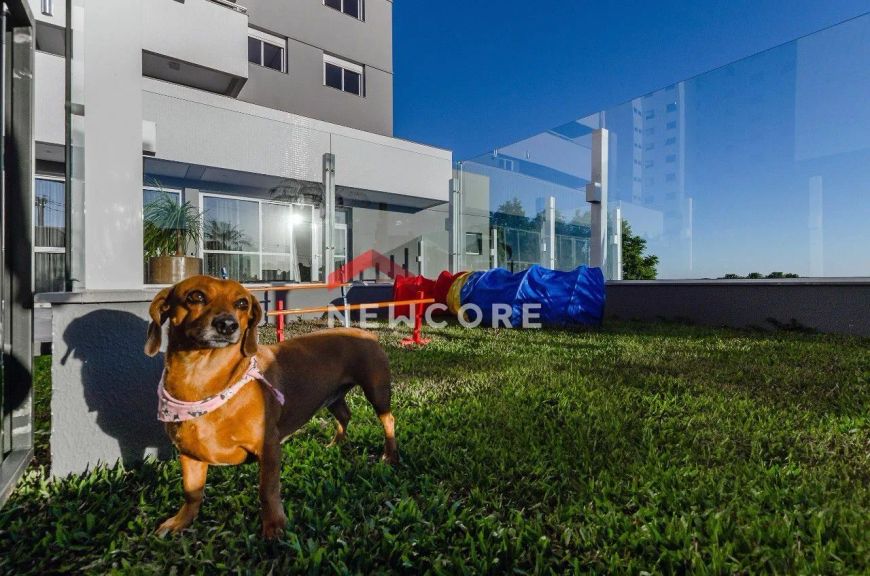 Apartamento em Rua Luiz Antunes - Panazzolo - Caxias do Sul/RS