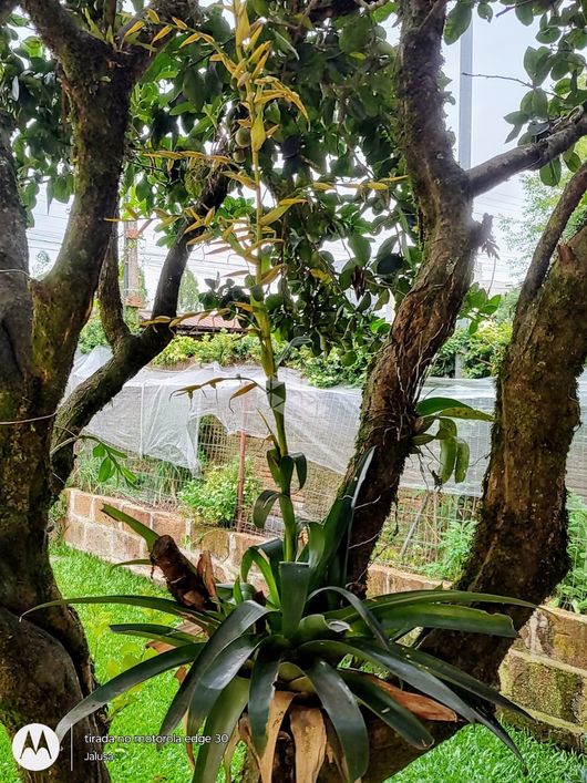 Casa para venda no bairro Desvio Rizzo.