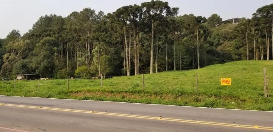 Terreno Desvio Rizzo Caxias do Sul