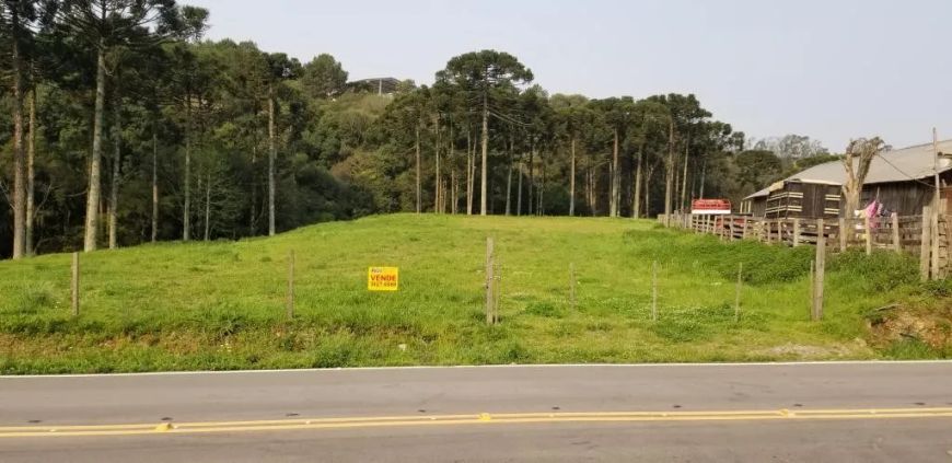 Terreno Desvio Rizzo Caxias do Sul