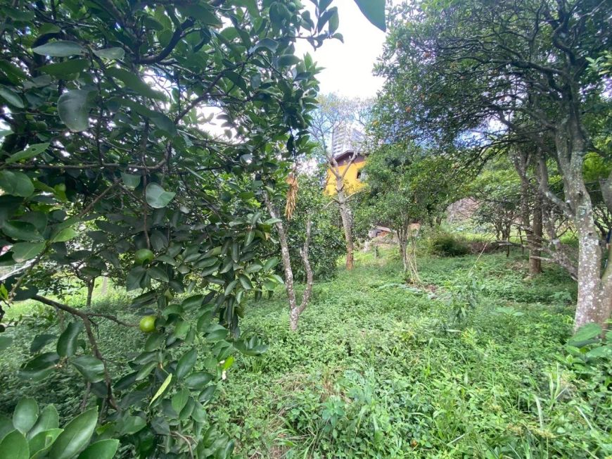 Terreno com 414m² no Panazzolo - Cxs