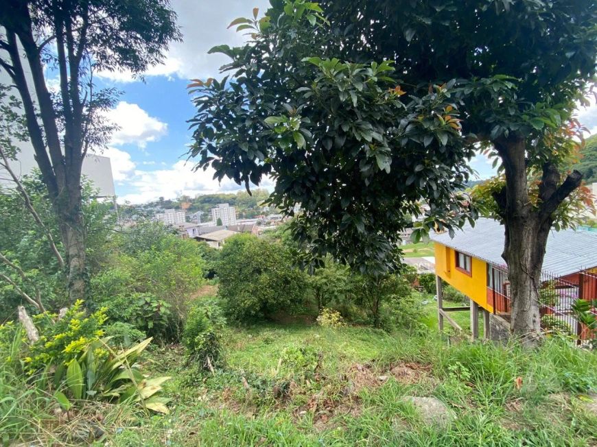 Terreno com 414m² no Panazzolo - Cxs