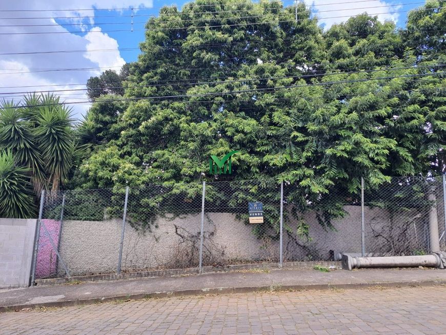 TERRENO RIO BRANCO