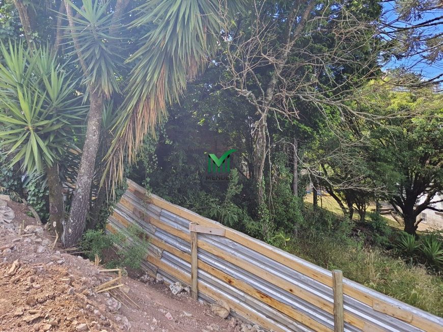 TERRENO RIO BRANCO
