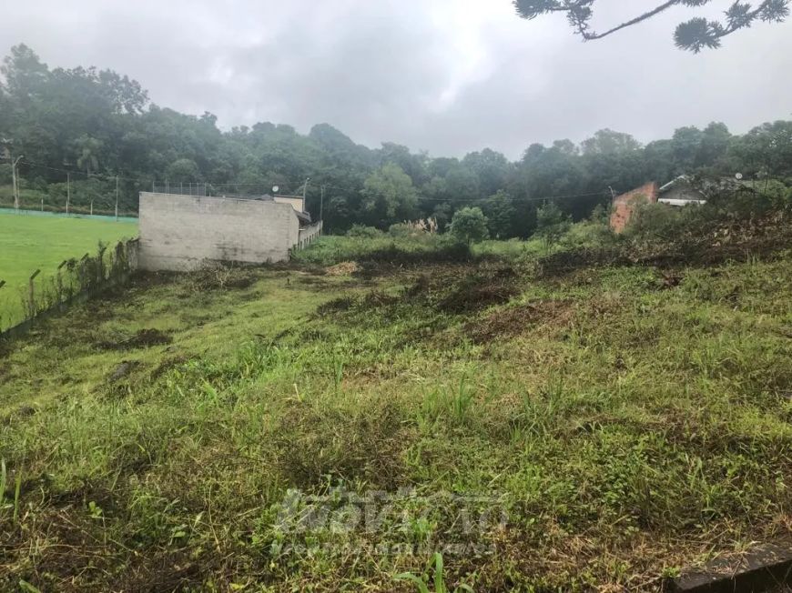 Terreno Desvio Rizzo Caxias do Sul