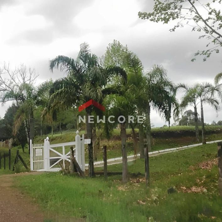 Chácara em Rodovia RSC-453 - Área Rural de Caxias do Sul - Caxias do Sul/RS