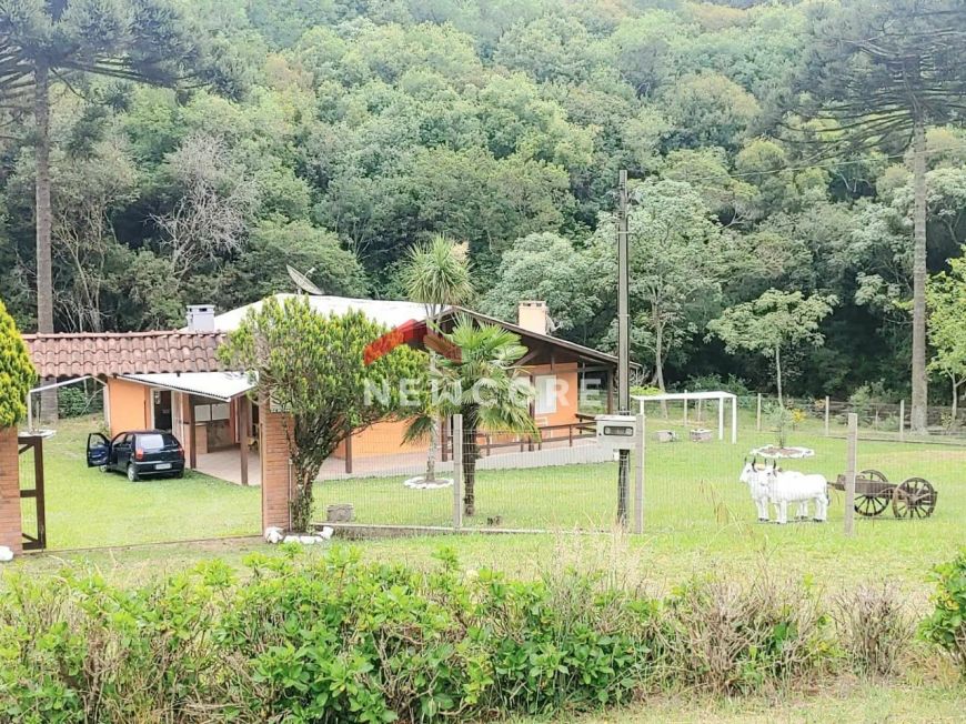 Chácara em Rodovia RSC-453 - Área Rural de Caxias do Sul - Caxias do Sul/RS