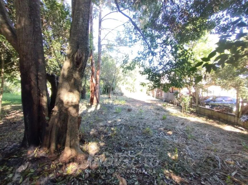 Terreno Desvio Rizzo Caxias do Sul
