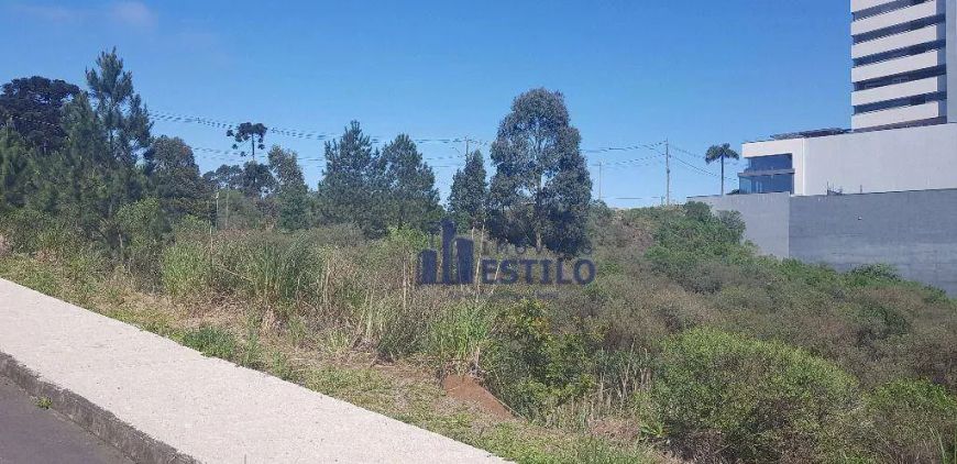 Terreno à venda, 1200 m² por R$ 3.600.000,00 - Sanvitto - Caxias do Sul/RS