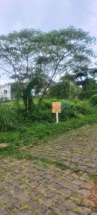 Terreno Bairro Vinhedos