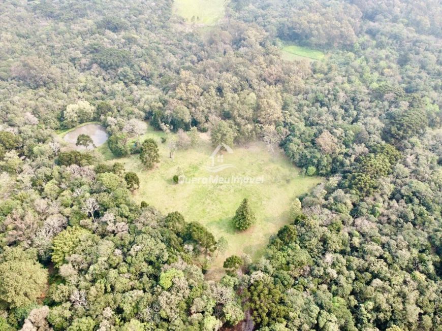 Área de Terra a venda com 4 hectares