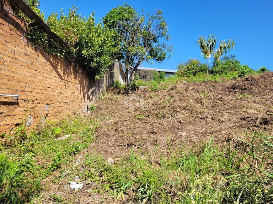 Ótimo terreno de 903,60m2 no Bairro São Luiz em Caxias Do Sul