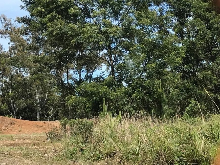 Terreno Desvio Rizzo Caxias do Sul