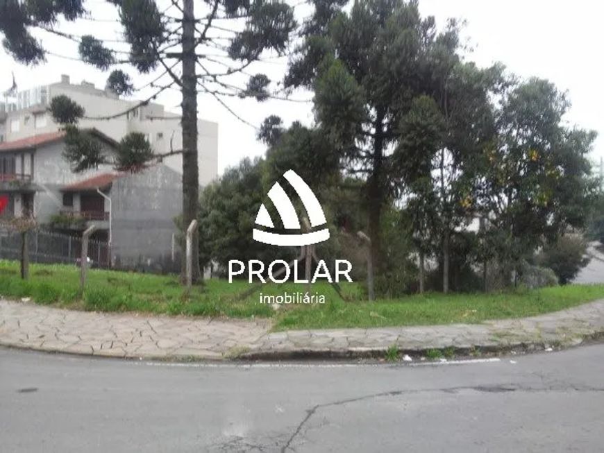 Terreno para Locação em Santa Lúcia