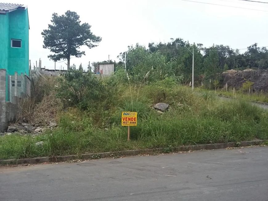 Terreno Desvio Rizzo Caxias do Sul