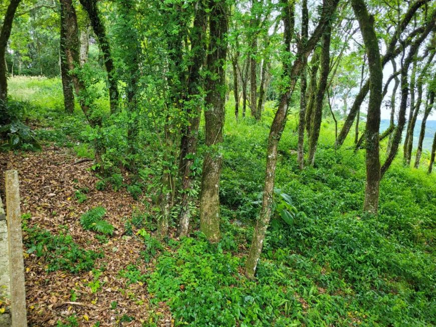 Venda de Terreno em Condomínio em Caxias do Sul-RS, bairro Nossa Senhora da Saúde