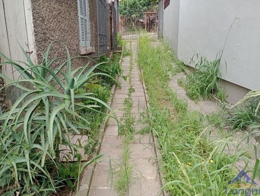TERRENO PIO X