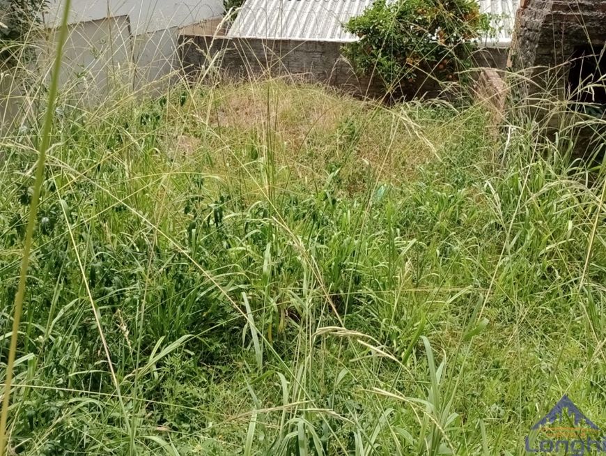 TERRENO PIO X