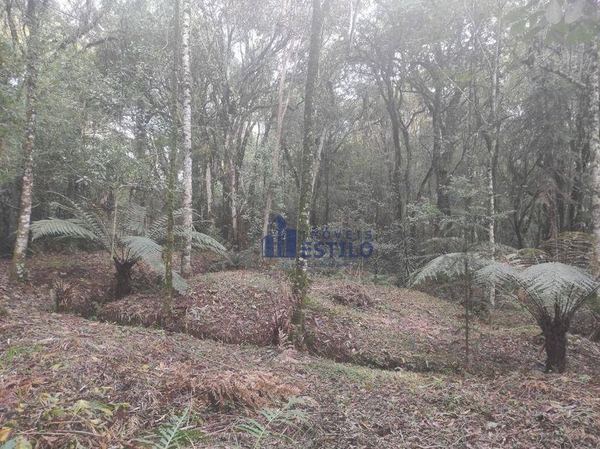 Terreno à venda, 984 m² por R$ 700.000,00 - Ana Rech - Caxias do Sul/RS