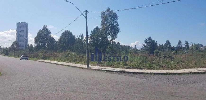 Terreno à venda, 600 m² por R$ 1.200.000,00 - Sanvitto - Caxias do Sul/RS