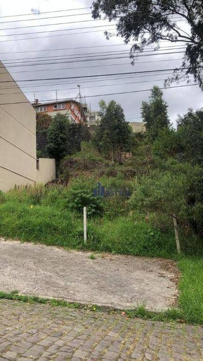 Terreno à venda, 420 m² por R$ 400.000,00 - Sanvitto - Caxias do Sul/RS