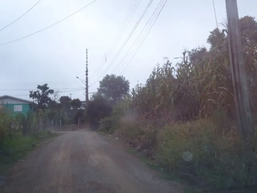 Terreno Desvio Rizzo Caxias do Sul