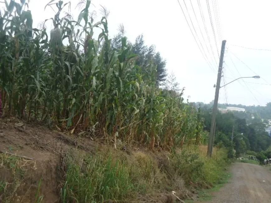 Terreno Desvio Rizzo Caxias do Sul