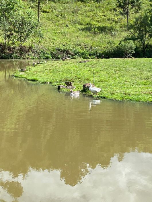 Fazenda/Sítio/Chácara para venda tem 130000000 metros quadrados com 5 quartos