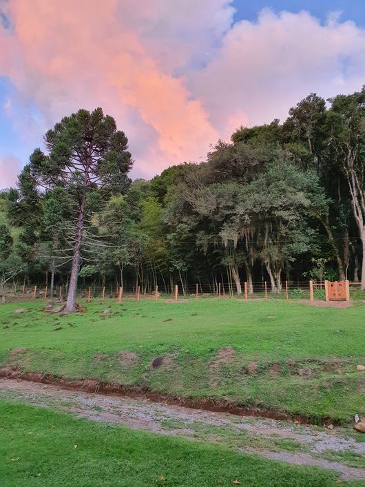 Fazenda/Sítio/Chácara para venda tem 130000000 metros quadrados com 5 quartos
