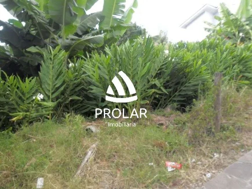 Terreno no Bairro CINQUENTENARIO