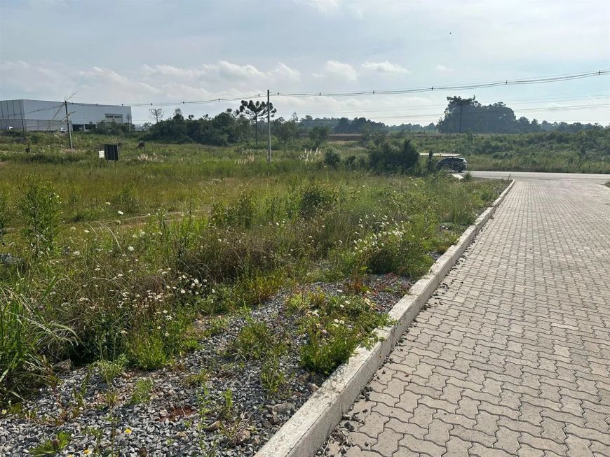 Ótimo terreno frente para estrada de mato perso, bom para fazer pavilhão ou uma transportadora. Área