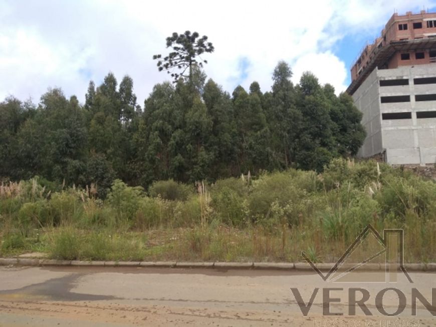 Terreno sanvitto