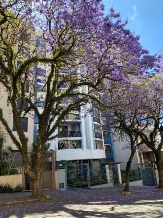 Cobertura com 5 dormitórios, 369 m² - venda por R$ 1.790.000,00 ou aluguel por R$ 8.385,83/mês - Exp