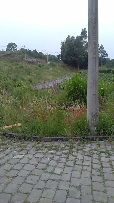 Terreno Desvio Rizzo Caxias do Sul