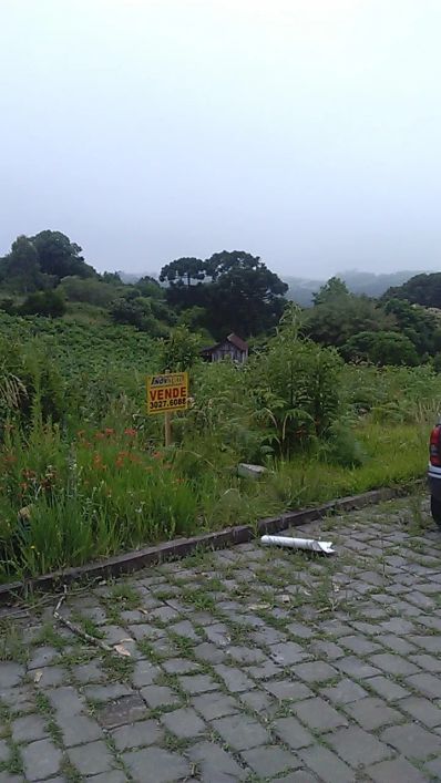 Terreno Desvio Rizzo Caxias do Sul