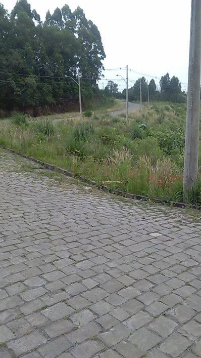 Terreno Desvio Rizzo Caxias do Sul