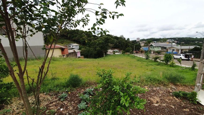 Ótimo terreno comercial no Bairro Desvio Rizzo! Área: 28,78x95 = 2.698,43m. Confira!