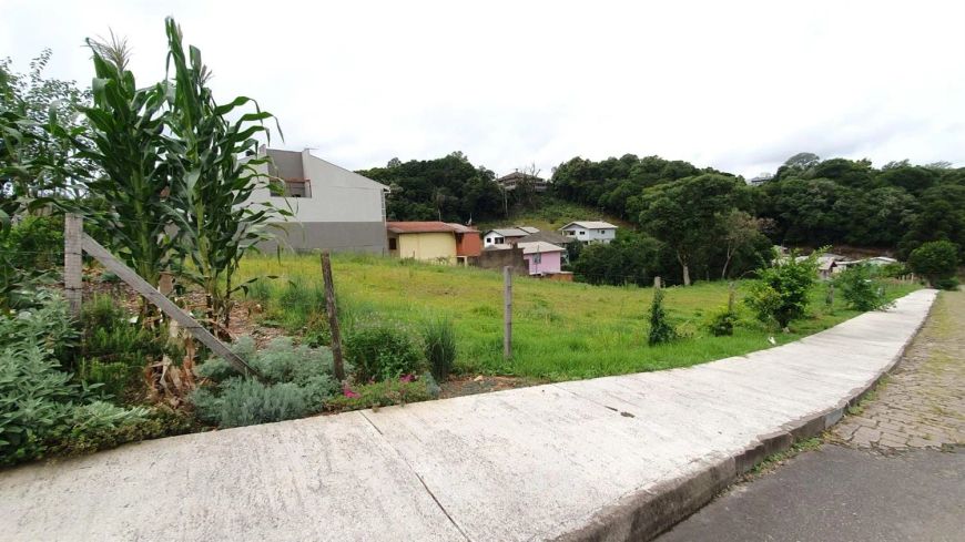 Ótimo terreno comercial no Bairro Desvio Rizzo! Área: 28,78x95 = 2.698,43m. Confira!