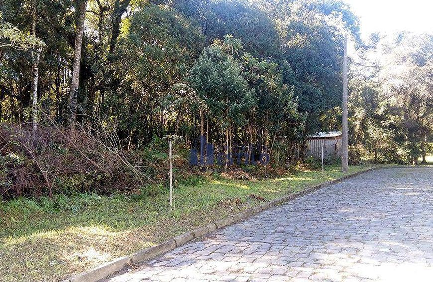 Terreno à venda, 4049 m² por R$ 3.200.000,00 - São Virgílio - Caxias do Sul/RS