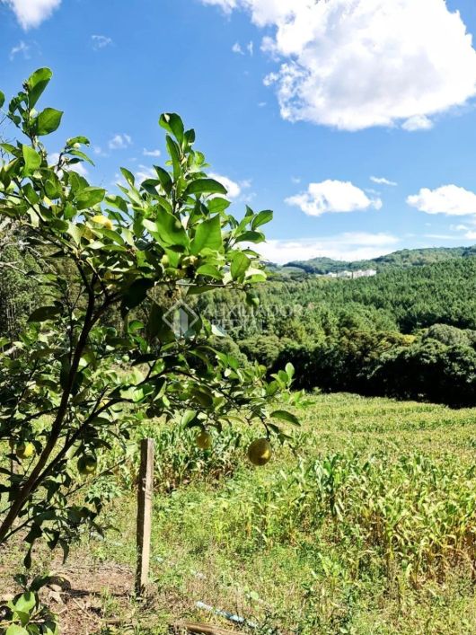 Propriedade Rural no bairro Nossa Senhora das Graças
