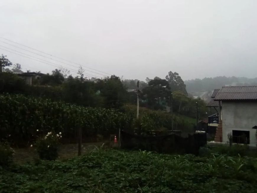 Terreno Desvio Rizzo Caxias do Sul