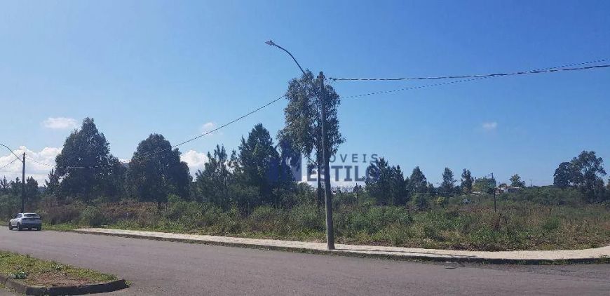 Terreno à venda, 714 m² por R$ 1.428.000,00 - Sanvitto - Caxias do Sul/RS